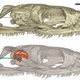 Illustration for article titled Reptile Fossil Solves Mystery of How Snakes Lost Their Legs